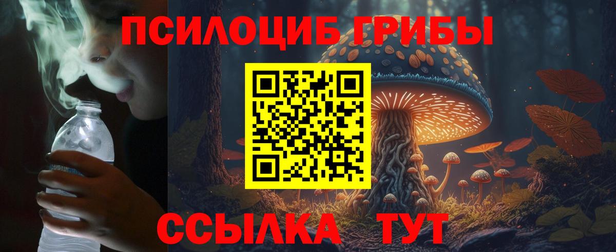 Галлюциногенные грибы Psilocybe Рязань